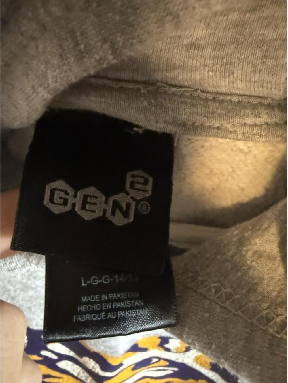 Gen2 Gray Hoodie with Tiger Eye Graphic - Picture 2 of 2